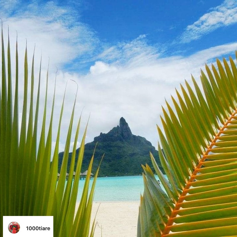 le-meridien-bora-bora-french-polynesia-guest-photo-6