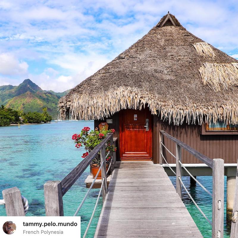 le-meridien-bora-bora-french-polynesia-overwater-bungalow-room-325-guest-photo-2